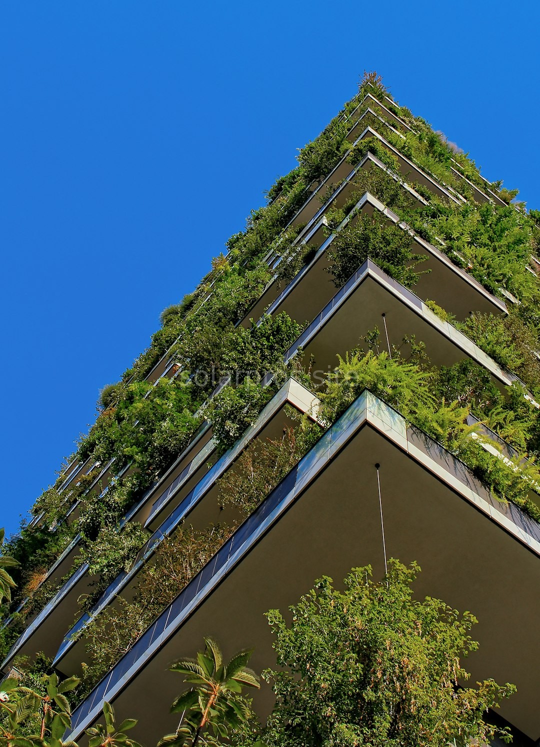 Modern Green Home